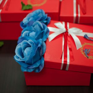 W9203RED. Red Highlighted Square-Shape Flower Boxes (Set of 3)