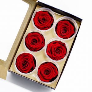 Red Ecuadorian Eternity Flowers Preserved Roses Pack of 6 6cm to 7cm
