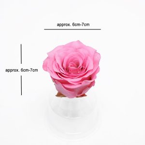 Pink Ecuadorian Eternity Flowers Preserved Roses Pack of 6 6cm to 7cm