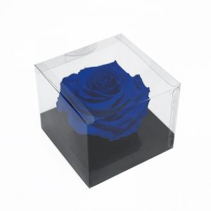 XL Blue Ecuadorian Eternity Flower Preserved Rose 9cm to 10cm