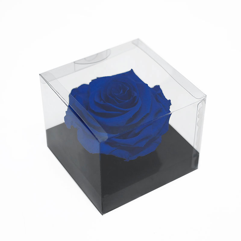 XL Blue Ecuadorian Eternity Flower Preserved Rose 9cm to 10cm | D & E ...