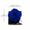 Jumbo Blue Eternity Rose