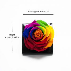 Jumbo Rainbow Color Ecuadorian Eternity Flower Preserved Rose 9cm to 10cm