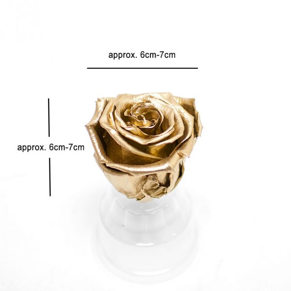 Pack of 6 Gold Preserved Roses