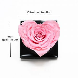 XL Pink Ecuadorian Eternity Heart Shape Flowers Preserved Roses 10cm to 11cm