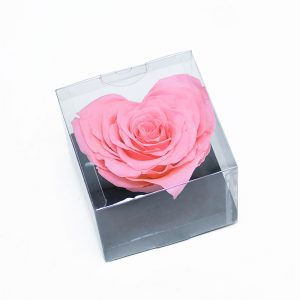 XL Pink Ecuadorian Eternity Heart Shape Flowers Preserved Roses 10cm to 11cm