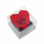 XL Red Ecuadorian Eternity Heart Shape Flowers Preserved Roses 10cm to 11cm