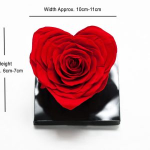 XL Red Ecuadorian Eternity Heart Shape Flowers Preserved Roses 10cm to 11cm