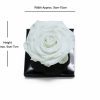 Large White Eternity Rose
