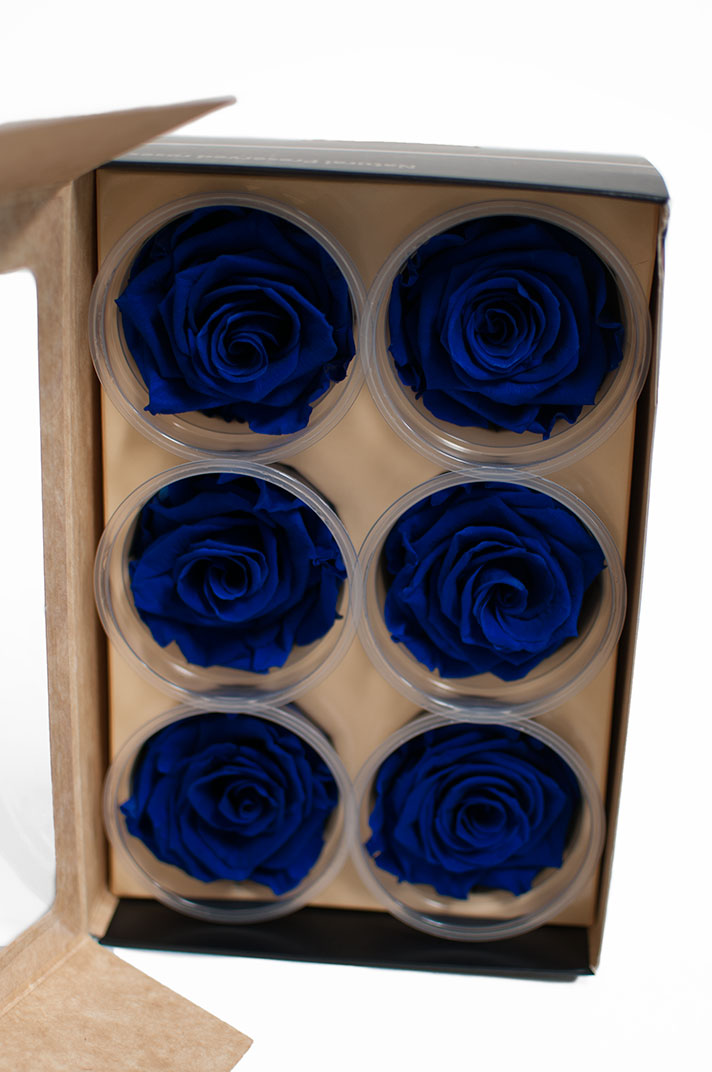 Royal Blue Ecuadorian Eternity Flowers Preserved Roses Pack of 6 6cm to 7cm Royal Blue Ecuadorian Eternity Flowers Preserved Roses Pack of 6 6cm to 7cm