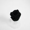Pack of 6 Ecuadorian Black Eternity Roses