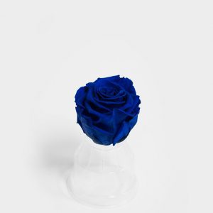 Royal Blue Ecuadorian Eternity Flowers Preserved Roses Pack of 6 6cm to 7cm