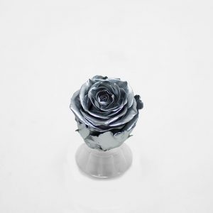 Silver Ecuadorian Eternity Flowers Preserved Roses Pack of 6 6cm to 7cm