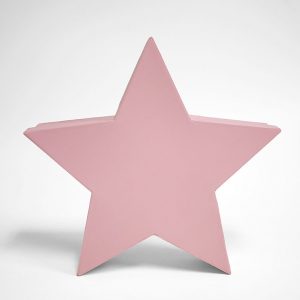 W6661 Pink Star Shape Flower Box