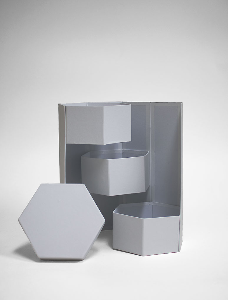 W7356 White Hexagon 3 Tiers Triple Layer Flower Box