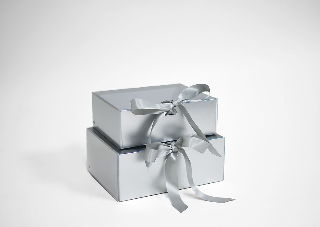 w7968web Silver Rectangular Flower Boxes With Clear Lid