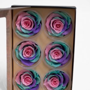 Unicorn Ecuadorian Eternity Flowers Preserved Roses Pack of 6 6cm to 7cm