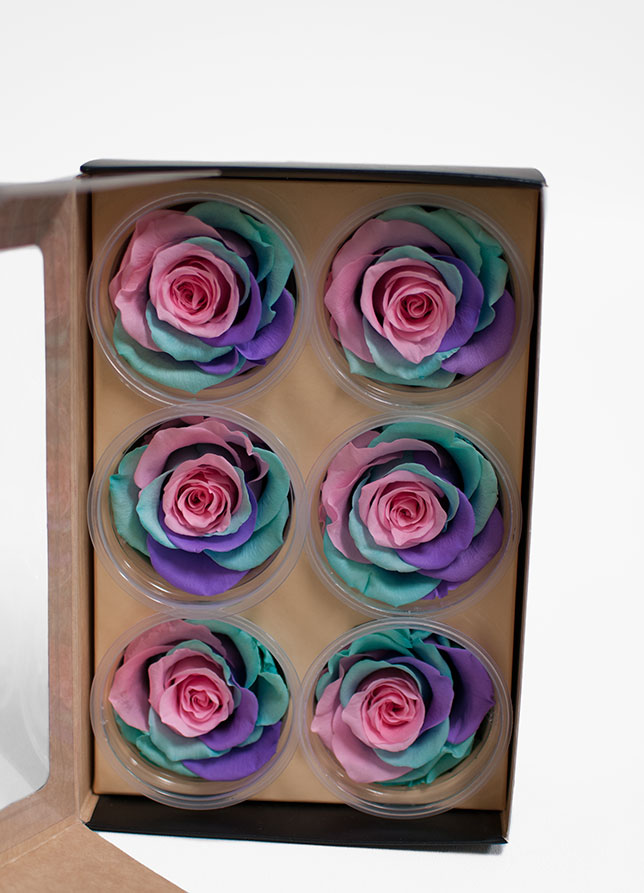 Unicorn Ecuadorian Eternity Flowers Preserved Roses Pack of 6 6cm to