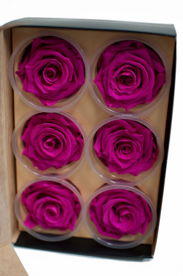 Fuchsia Ecuadorian Eternity Flowers Preserved Roses Pack of 6 6cm to 7cm