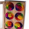 Rainbow Ecuadorian Eternity Flowers Preserved Roses Pack of 6 6cm to 7cm