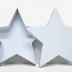 W6660 White Star Shape Flower Box