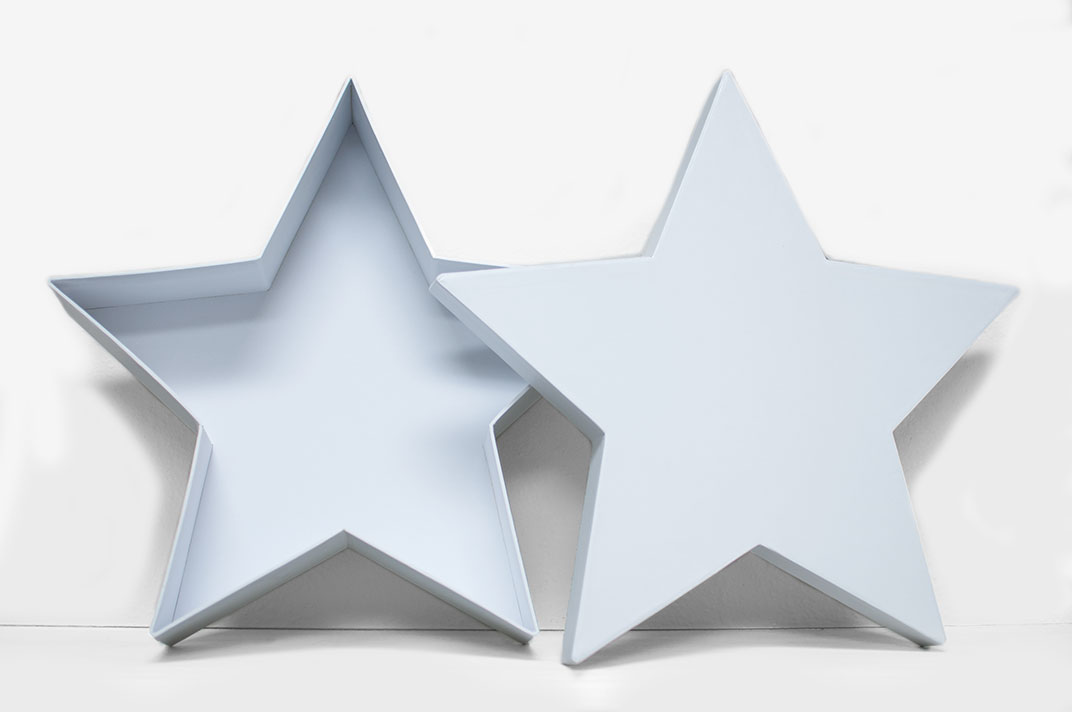 W6660 White Star Shape Flower Box W6660 White Star Shape Flower Box