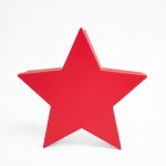 W6662 Red Star Shape Flower Box