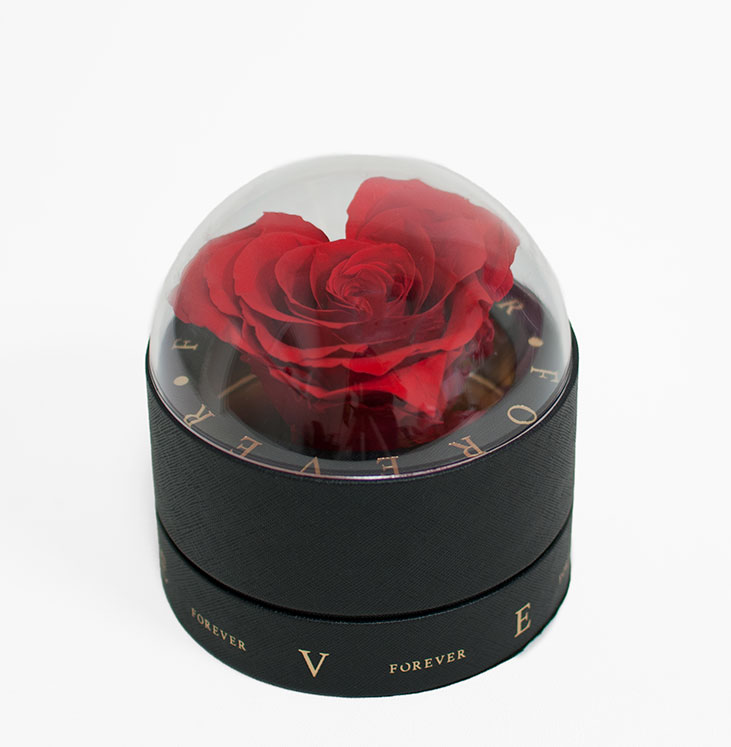 2003 Black Forever Round Sphere with Clear Top