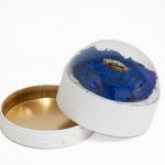 2012 Large White Forever Round Sphere with Clear Top