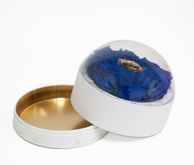 2012 Large White Forever Round Sphere with Clear Top 2012 Large White Forever Round Sphere with Clear Top