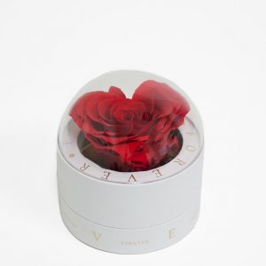 2003 White Forever Round Sphere with Clear Top