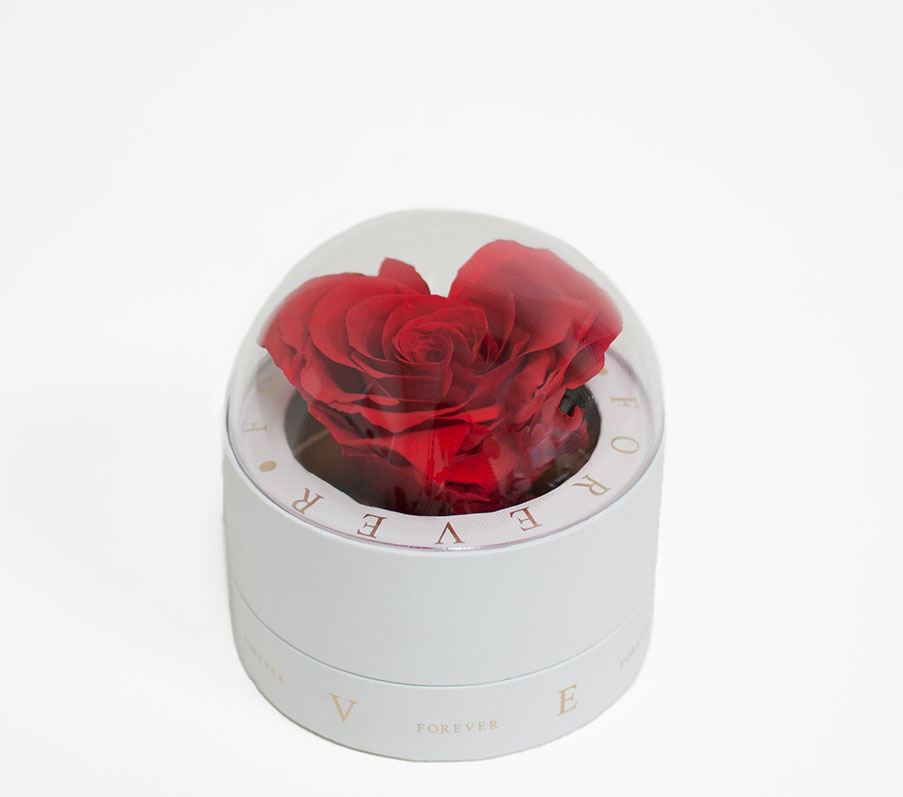 2003 White Forever Round Sphere with Clear Top 2003 White Forever Round Sphere with Clear Top