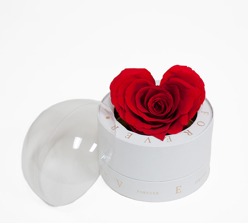 2003 White Forever Round Sphere with Clear Top 2003 White Forever Round Sphere with Clear Top