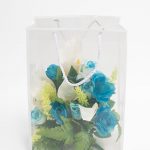 White Transparent Bag with Frame