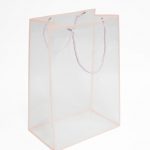 Pink Transparent Bag with Frame