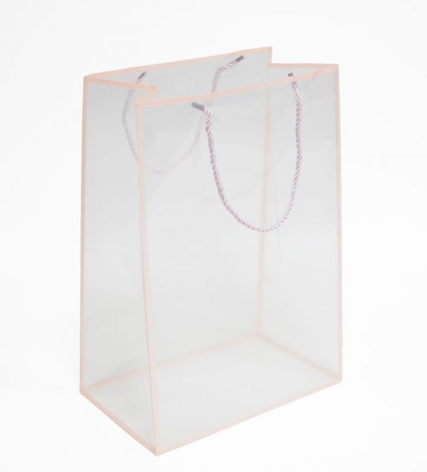 Pink Transparent Bag with Frame