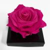 XL Fusia Ecuadorian Eternity Flower Preserved Rose 9cm to 10cm
