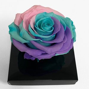 XL Unicorn Ecuadorian Eternity Flower Preserved Rose 9cm to 10cm
