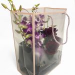 Pink Transparent Bag with Frame