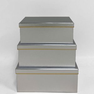 Silver Rectangular Box set of 3 W7508