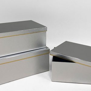 Silver Rectangular Box set of 3 W7508