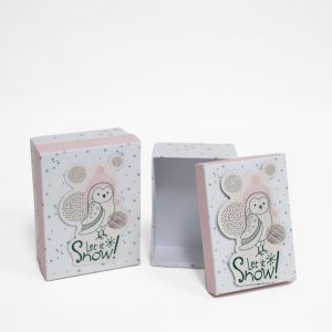 White Let it Snow Owl Rectangle Christmas Boxes(set of 2)