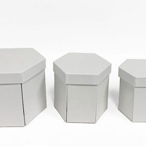 W7435 White Hexagon Surprise Box  Set of 3