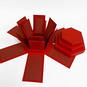 W7437 Red Hexagon Surprise Box  Set of 3