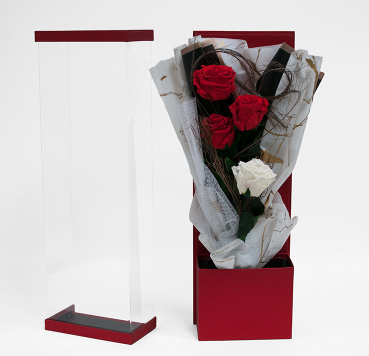 10574red.jpg2