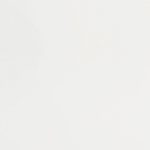 Transparent Elegant Gold Trim Flower Wraps (pack of 20)