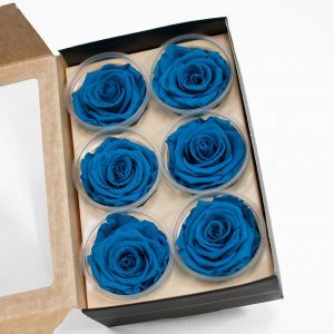 Turquoise Ecuadorian Eternity Flowers Preserved Roses Pack of 6 6cm to 7cm