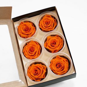 Orange Ecuadorian Eternity Flowers Preserved Roses Pack of 6 6cm to 7cm