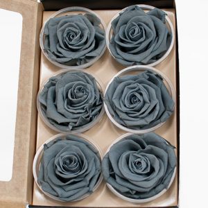 Gray Ecuadorian Eternity Flowers Preserved Roses Pack of 6 6cm to 7cm
