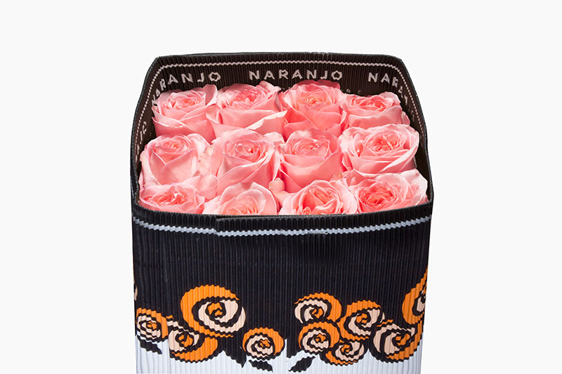 Ecuadorian Roses (Pink Xpression 40CM-60CM) (25 Roses Per Bundle)